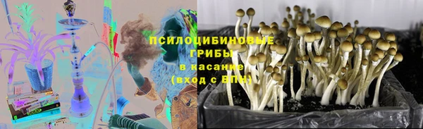 PSILOCYBIN Алексин