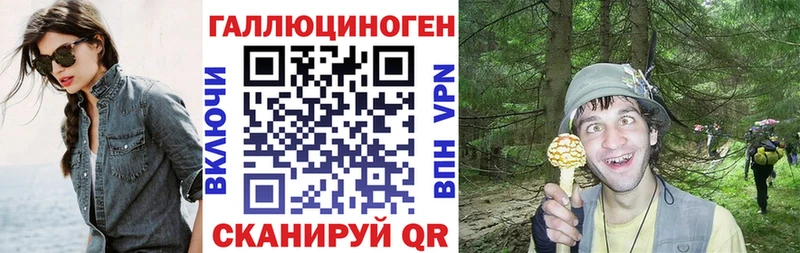 Галлюциногенные грибы Psilocybe  Изобильный 