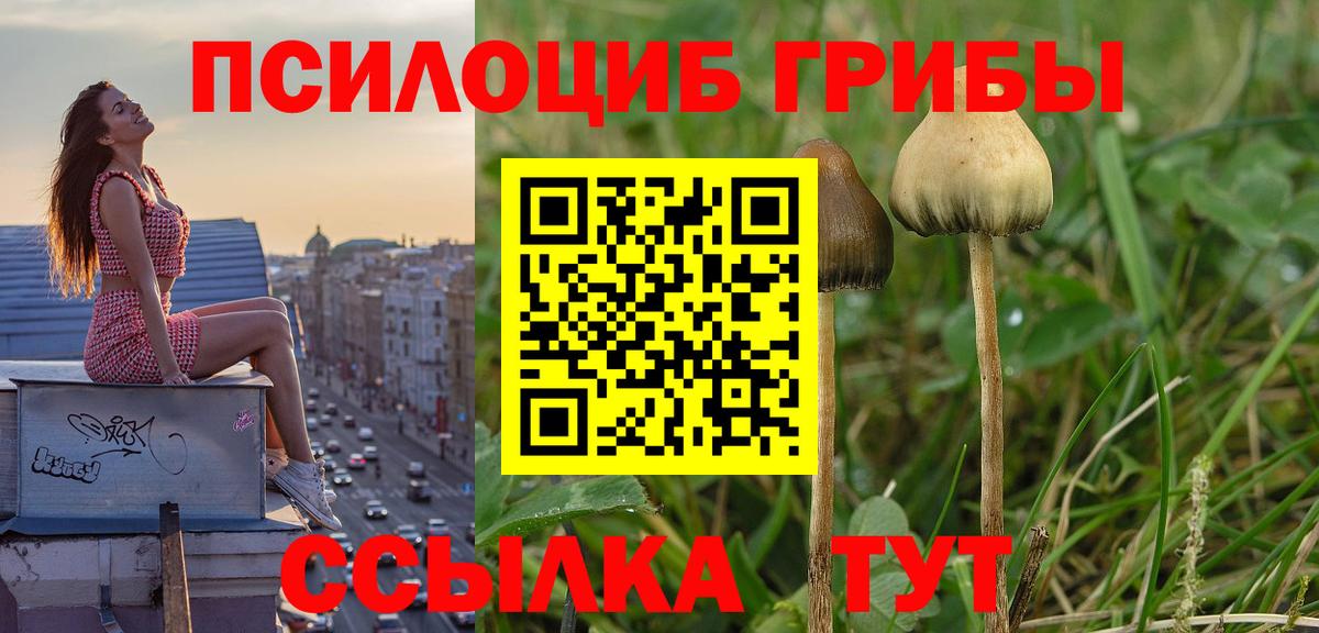 Изобильный  Галлюциногенные грибы Magic Shrooms  Вход с VPN 